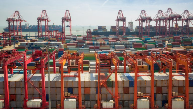 Foreign exchange crisis cripples shipping trade