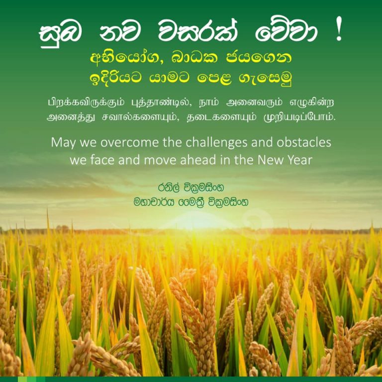 Sri Lanka will have to face many problems this year – Ranil