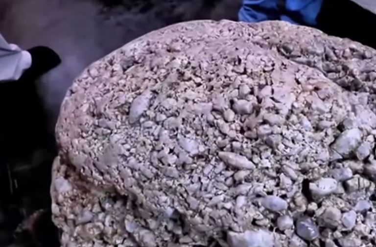 Sri Lanka’s world largest star sapphire cluster gets registration in the Guinness Book
