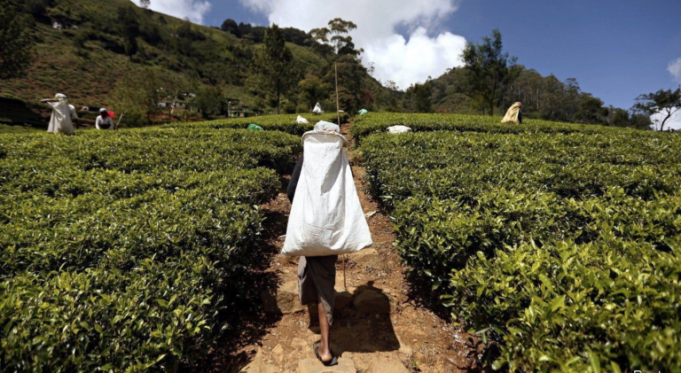Sri Lanka is flirting with default