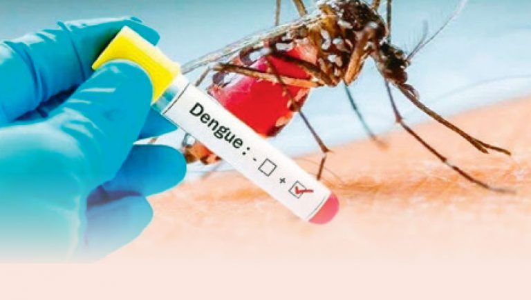 5500 dengue patients reported in January