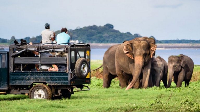 Over 30 per cent drop in tourist traffic