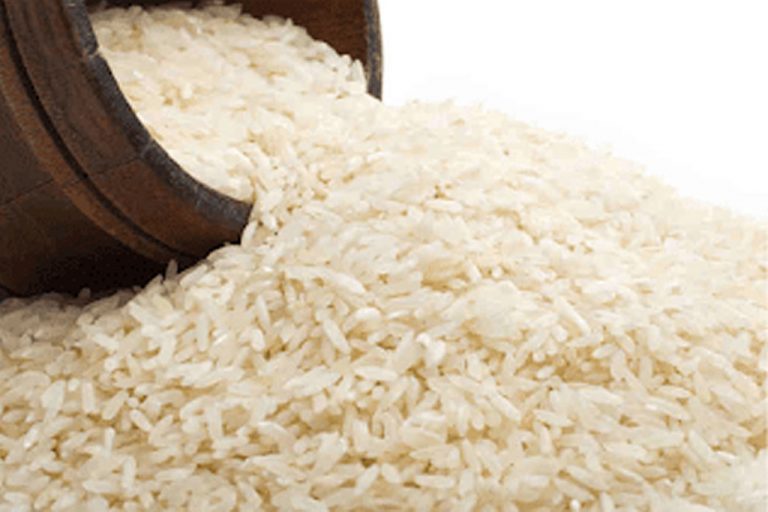 SL receives 1,000 MT of rice under Indian credit line