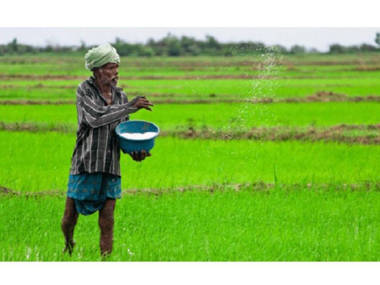 A hundredweight of urea Rs. 20,000: Former Agriculture Director