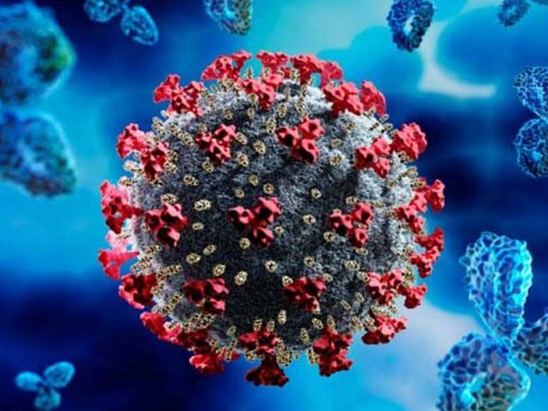Health sectors warn of possibility of new Covid variants being developed