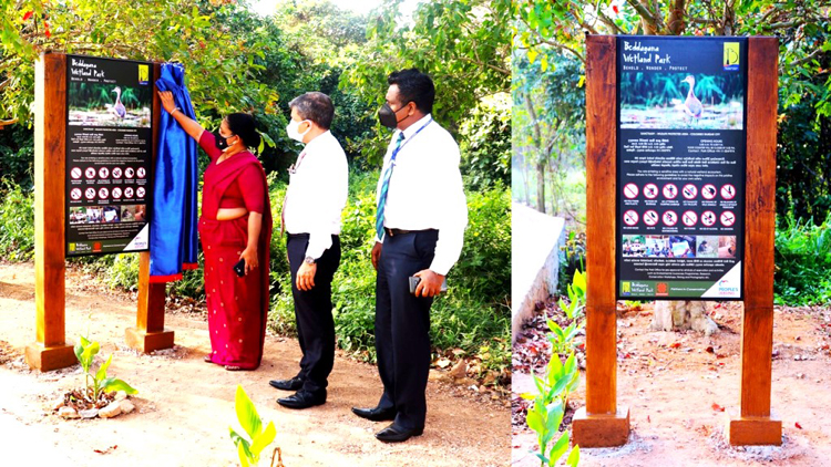 People’s Leasing joins Beddagana Wetland Park as a conservation partner