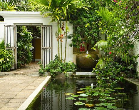 Govt. embarks on Rs. 31 b National Home Gardening Revolution today