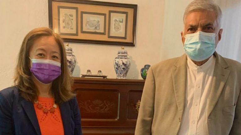 A vibrant political opposition vital in any healthy democracy, says US Ambassador in meeting with UNP Leader Wickremesinghe