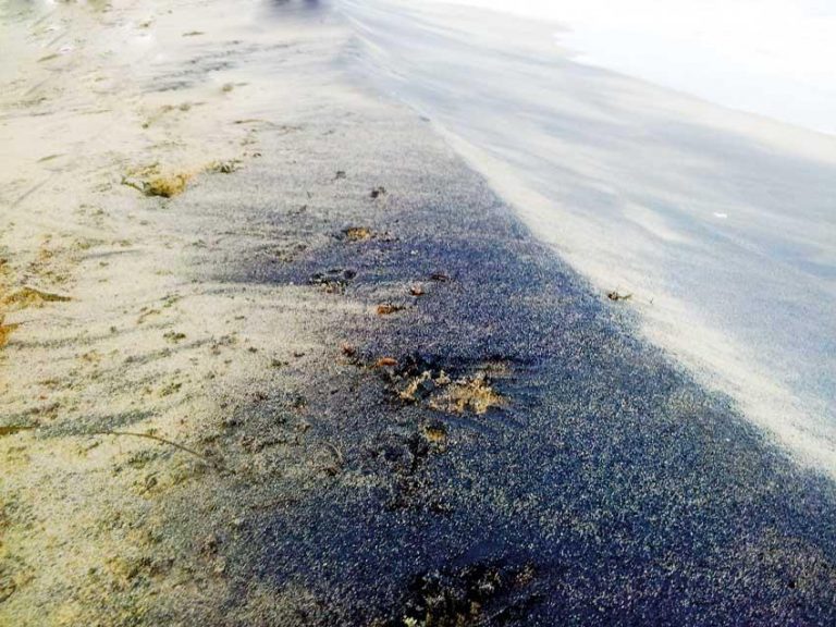Mineral exploration in Mannar continues after short term suspension