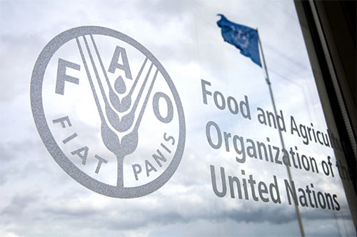 FAO  to assist Sri Lanka to overcome food shortages