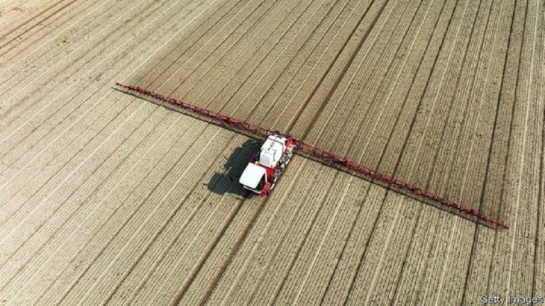 Why fertiliser prices are soaring