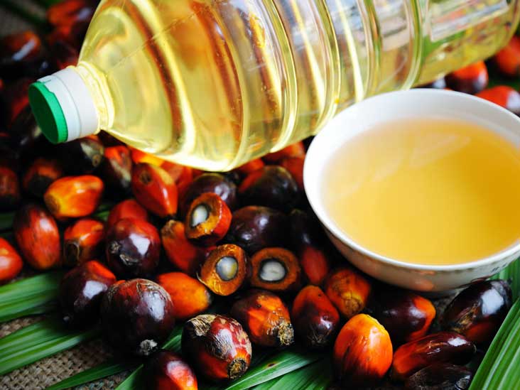 SL Palm oil Industrialists urge the govt to lift the ban on palm cultivation