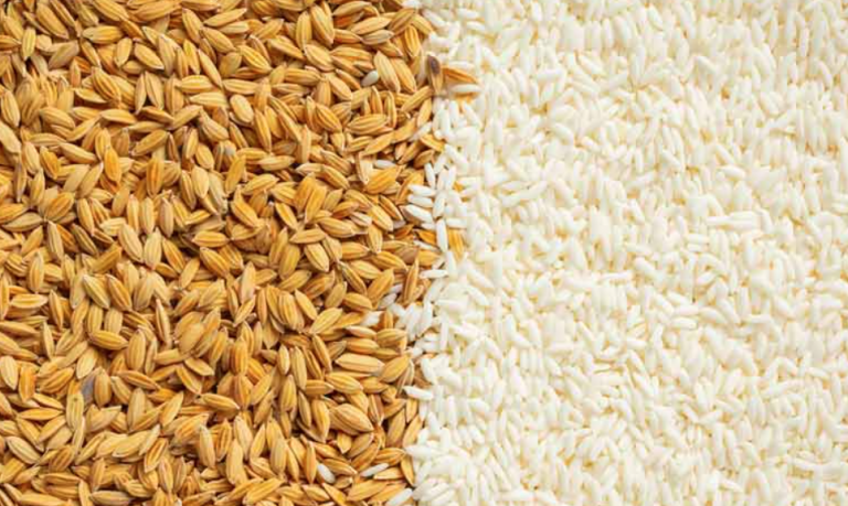 An Extraordinary Gazette Notification issued on Rice and Paddy
