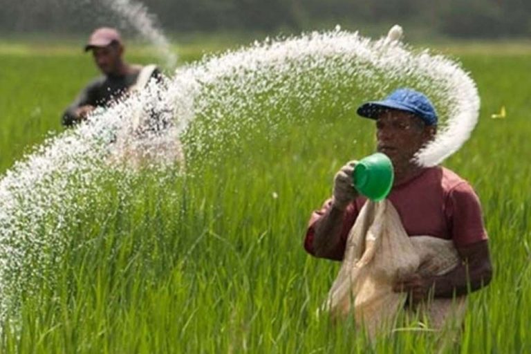 Ship carrying urea to arrive in SL on July 06