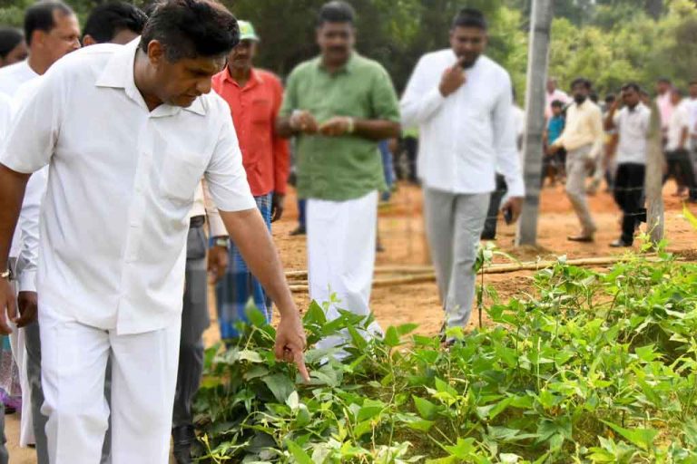 Opposition Leader invites all citizens for Cultivation War (VIDEO)