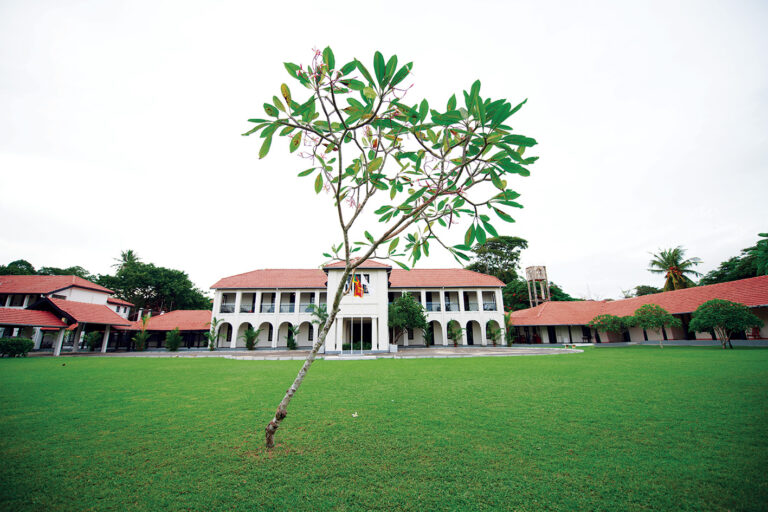 Joseph Fraser, the unique and prestigious maternal hospital introducing unique services
