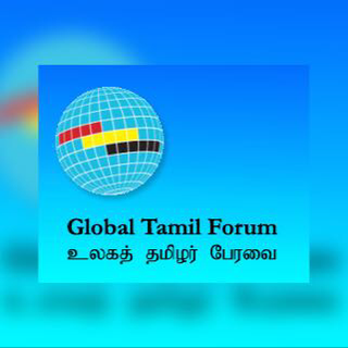 The Tamil diaspora has offered to play a constructive role in Sri Lanka to ensure long-lasting changes in the country.