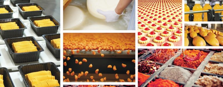 Govt  explores avenues with India in food processing & dairy sectors