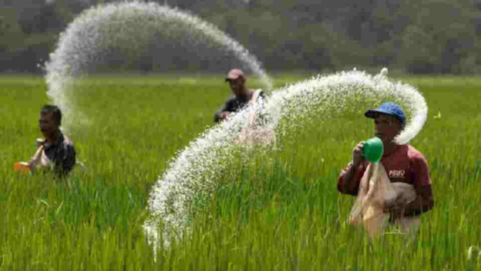 farmers spreading fertiliser