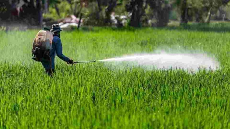 Glyphosate ban imposed by former govt to be lifted