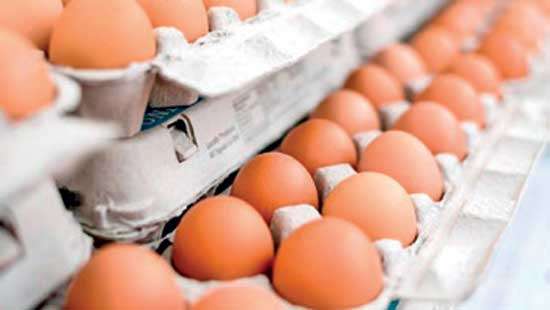 SL poultry industry urges Govt to stop egg imports to tackle shortage