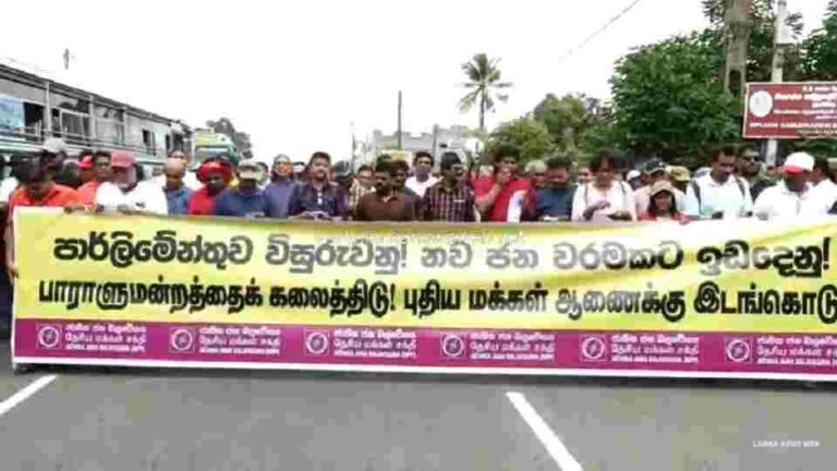 NPP launches protest march and rally demanding Parliament dissolution and new mandate (VIDEO)