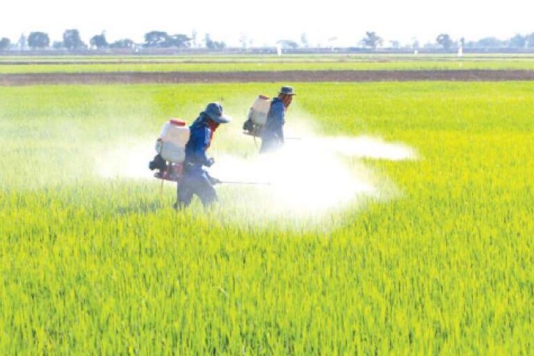 President issues extraordinary gazette lifting Glyphosate ban!