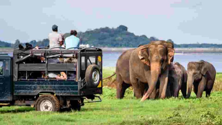Sri Lanka to attract more Indian tourists amidst present challenges  
