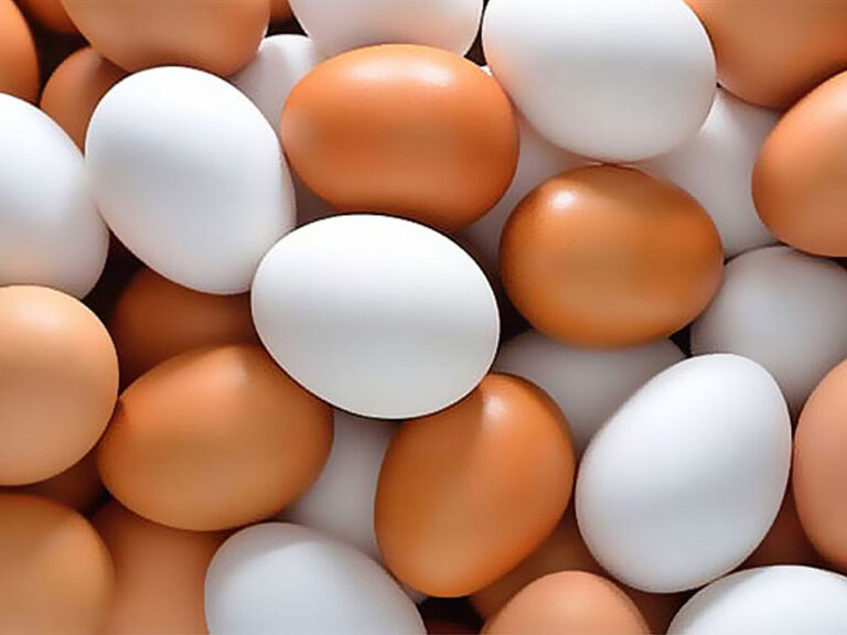 Businessmen in poultry industry warn of egg shortage soon