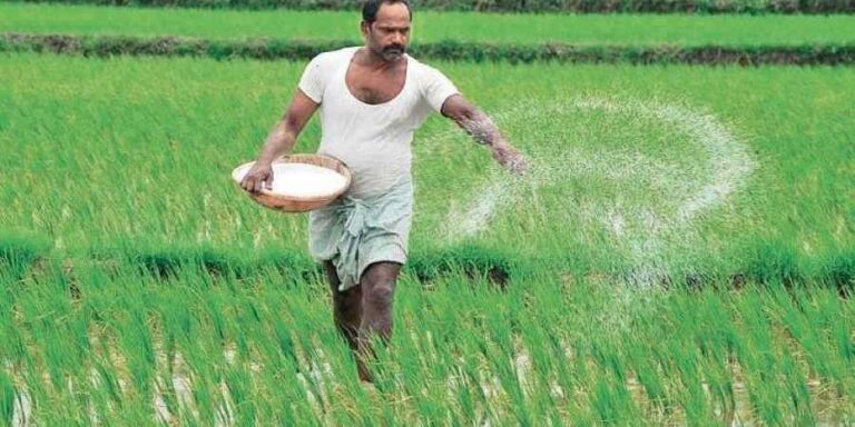 Cabinet Approves Relaunch of “Sarusara” Rural Credit Scheme for Small-Scale Farmers