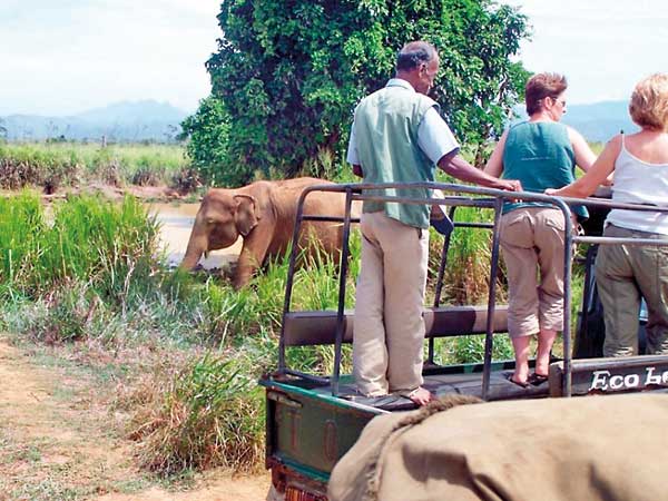 Travel advisories exert adverse impact on tourist arrivals in August