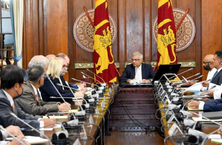Foreign ambassadors assure that they will provide full support to SL to recover from the economic crisis