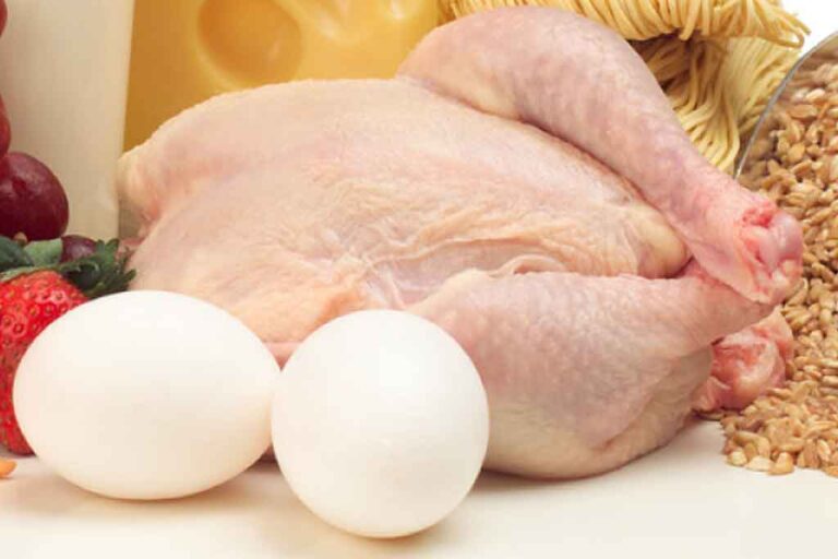 Poultry industry assures steady supply of chicken and eggs during festive season