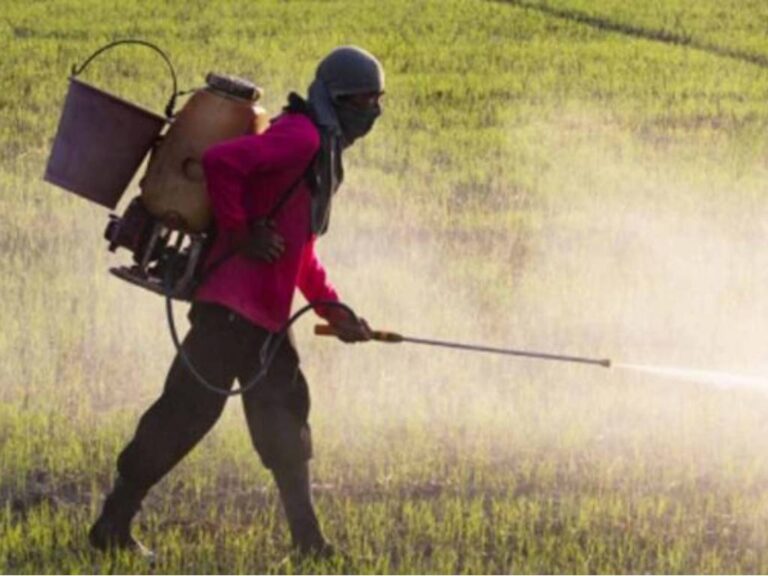 Audit report on nano-nitrogen imports submitted to Agriculture Ministry