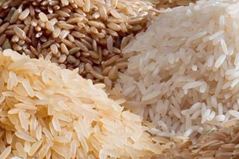 Report on National Rice Stocks Submitted to President Amidst Market Shortage