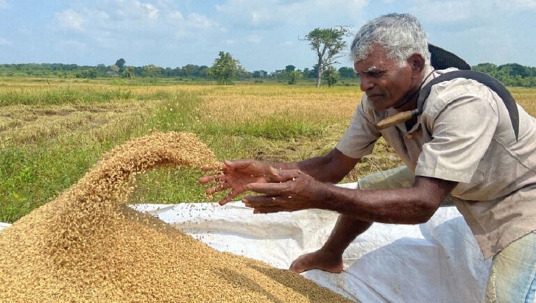 Sri Lanka‘s agri product price rises by 45 percent due to Fertilizer ban