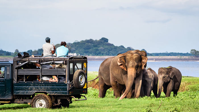 Sri Lanka still favourite destination for tourists despite challenges