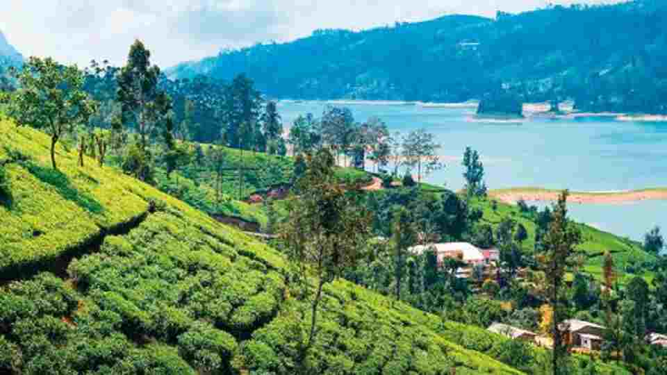 Why Sri Lanka should be your travel destination this winter - LNW Lanka