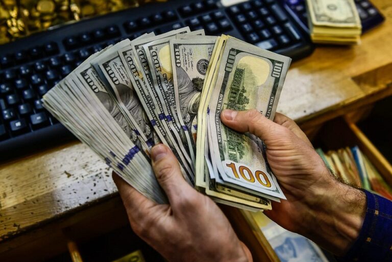 Govt opens digital space for youth to earn dollars working from home