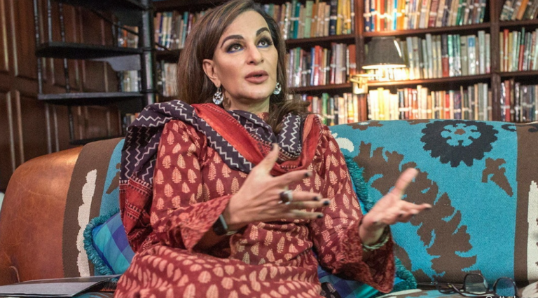 How Pakistan emerged as a climate champion