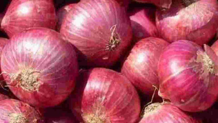 India sets $800 per tonne onion export price until December end
