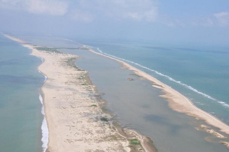 Government to assist Northern Province to go Green in a big way