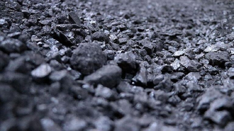 Sri Lanka deprives of Rs 30 billion from the coal tender bending