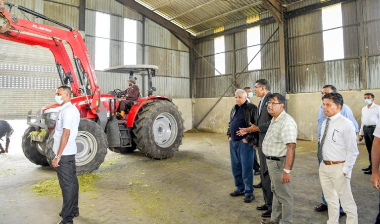 President makes visionary move to develop Ambewela farm dairy industry