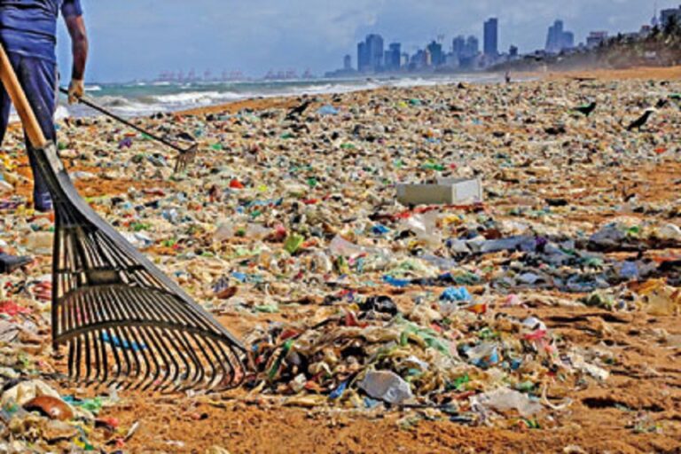 Several SL firms indirectly cause marine pollution:  survey report