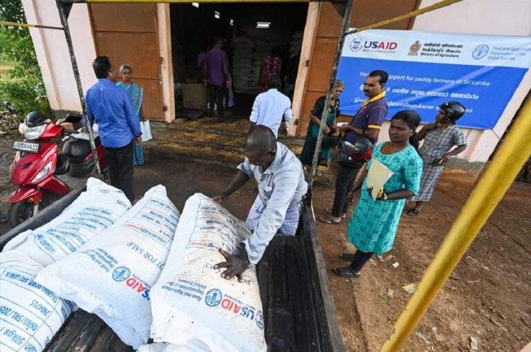 FAO and USAID step into to distribute fertilizer to all paddy farmers