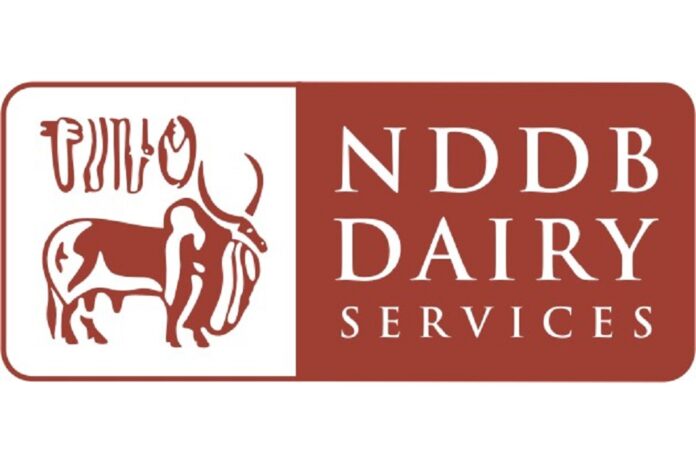 NDS Logo