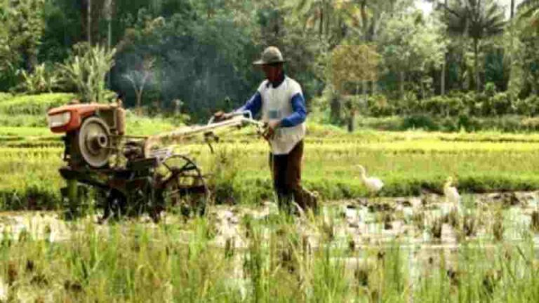 Cash allowance for paddy farmers for ‘Maha Season’