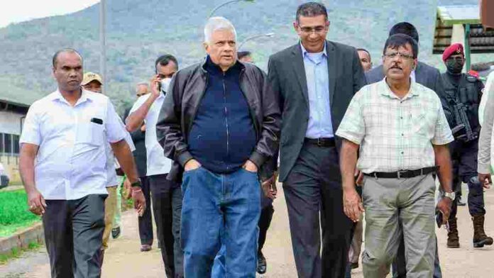 Ranil at Ambewela Farm