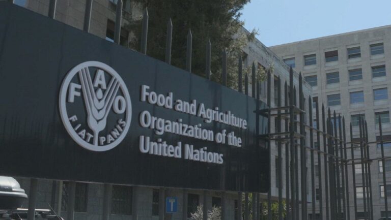 FAO says 40 percent of SL’s house holds income drop from Jun to Dec